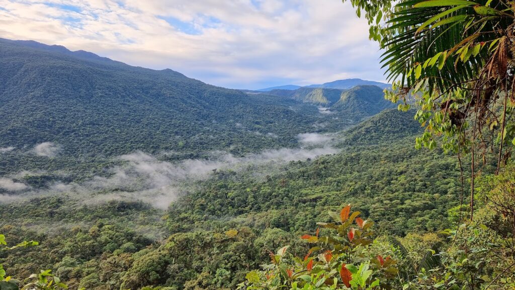 Reserva Natural El Pangán – Barbacoas, Nariño