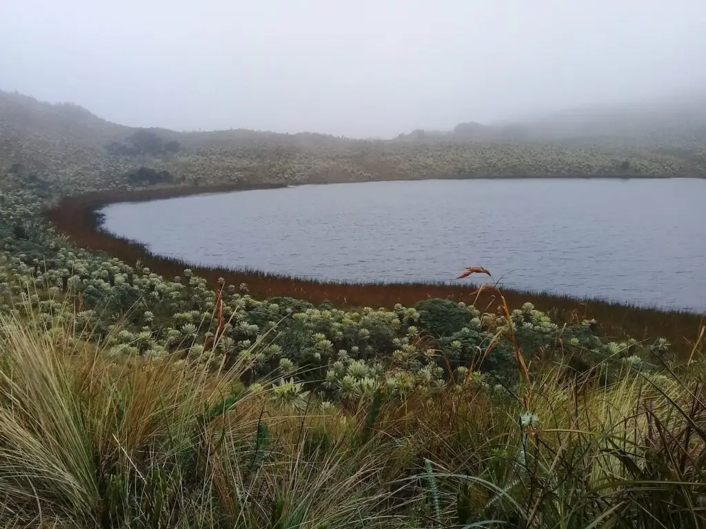 Laguna de Mejía – Yacuanquer, Nariño