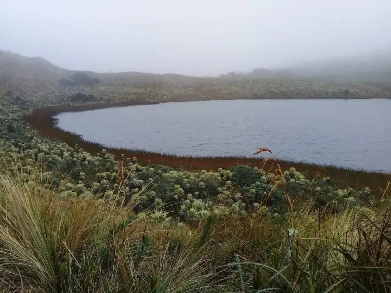 Laguna de Mejía – Yacuanquer, Nariño