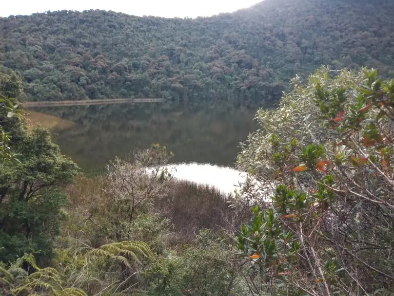 Laguna Negra (Santuario Galeras) – Pasto, Nariño