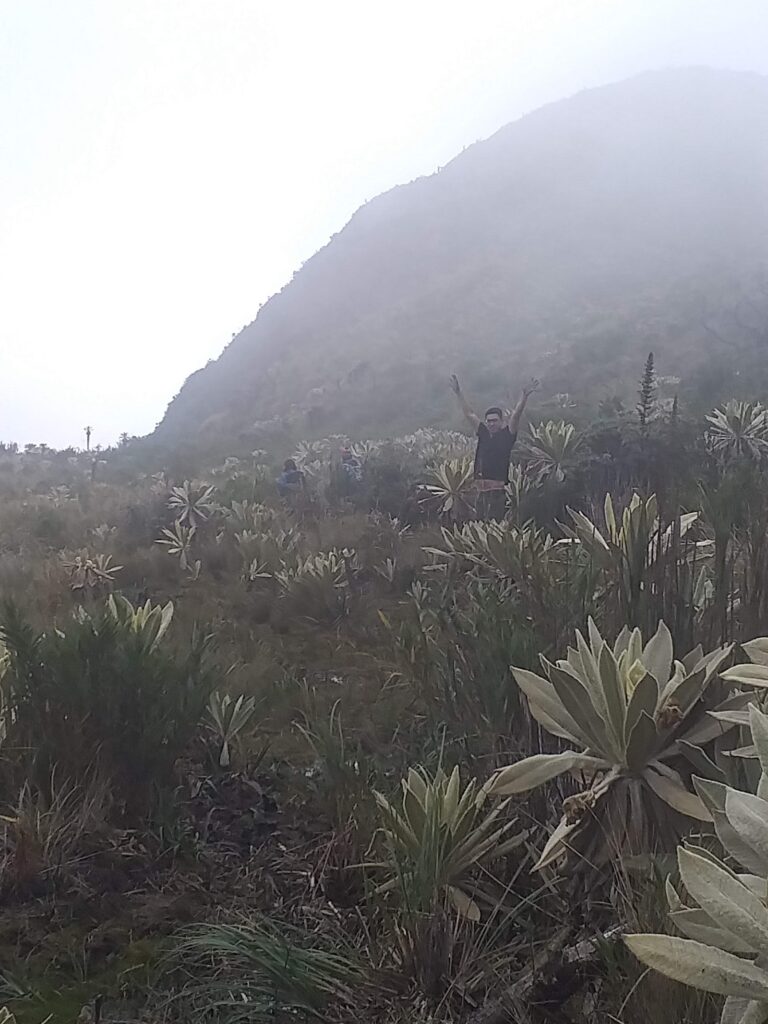Páramo El Tauso – Tangua, Nariño