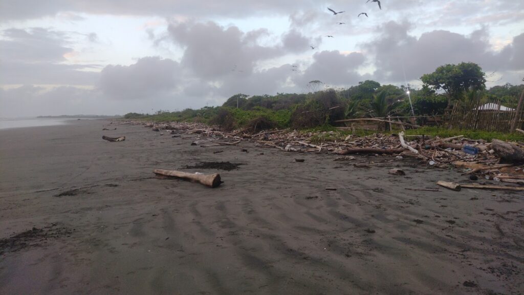 Playa de Punta Cascajal – Francisco Pizarro, Nariño